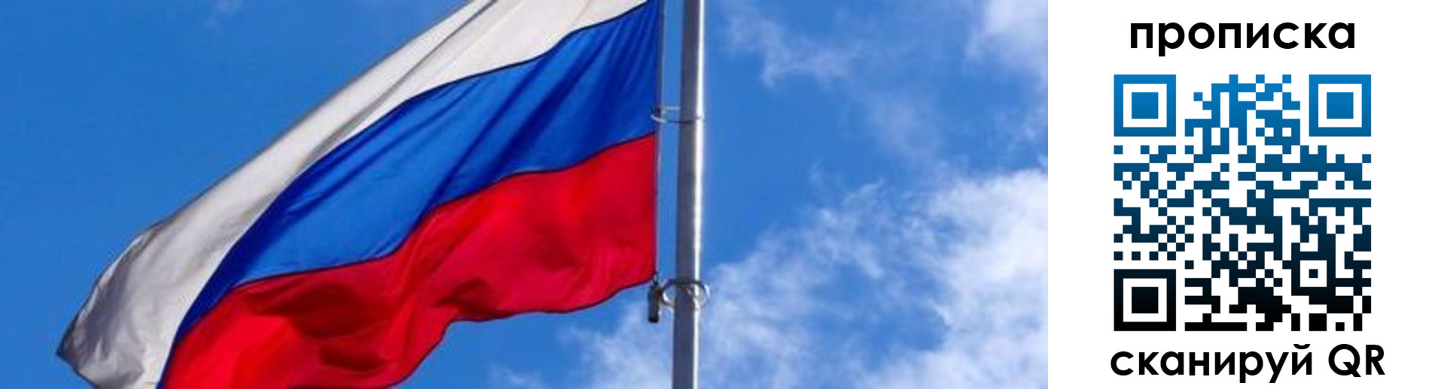 прописка поиск в Бородино